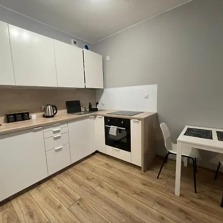 Apartment Vip Witolda Rzeszow