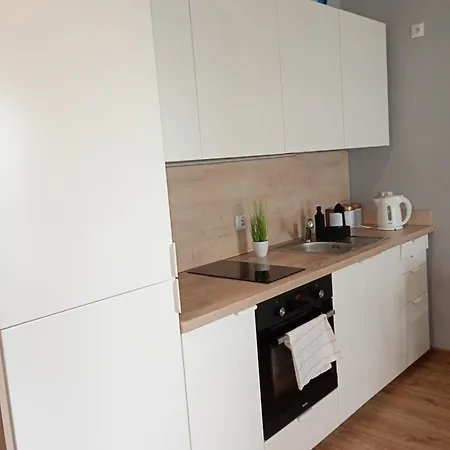 Apartment Vip Witolda Rzeszow