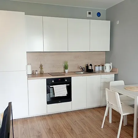 Vip Witolda Апартаменты Жешув