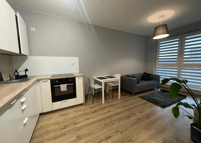 Vip Witolda * Rzeszów