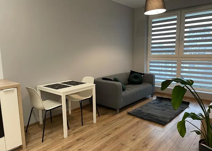 Vip Witolda Rzeszów