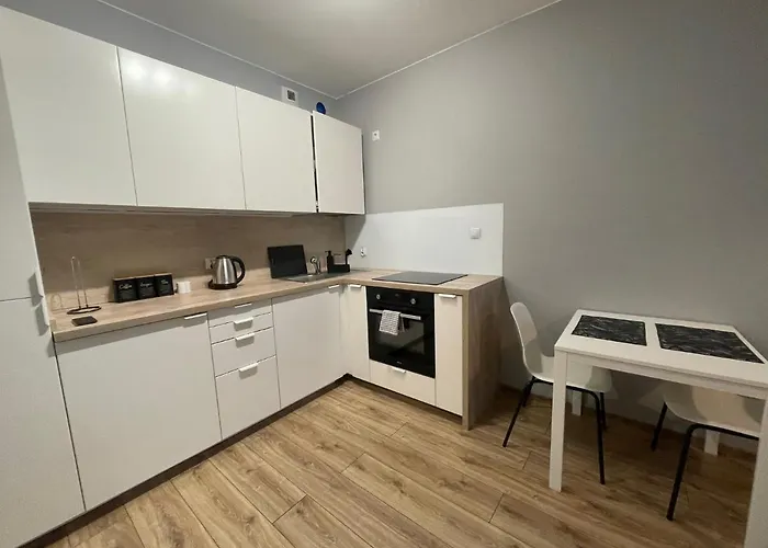 Appartement Vip Witolda Rzeszów