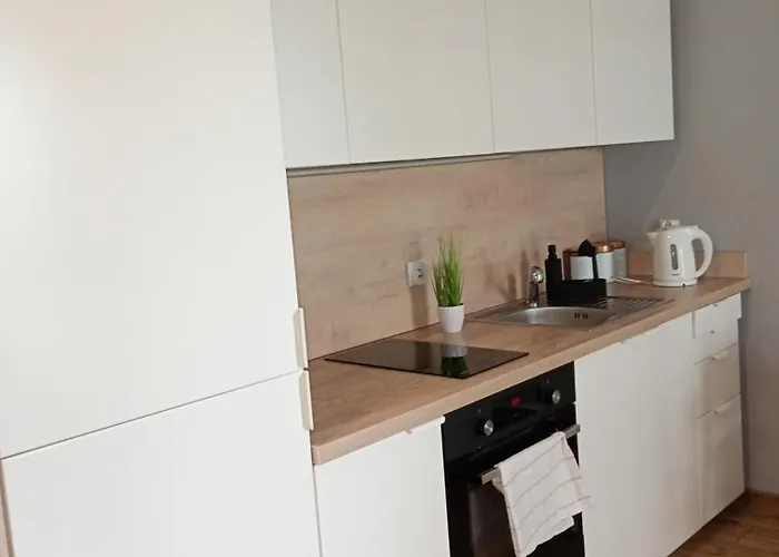 Appartamento Vip Witolda Rzeszów